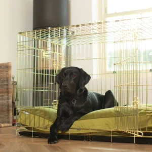Dog Cushion in Olive Velvet by Lords & Labradors