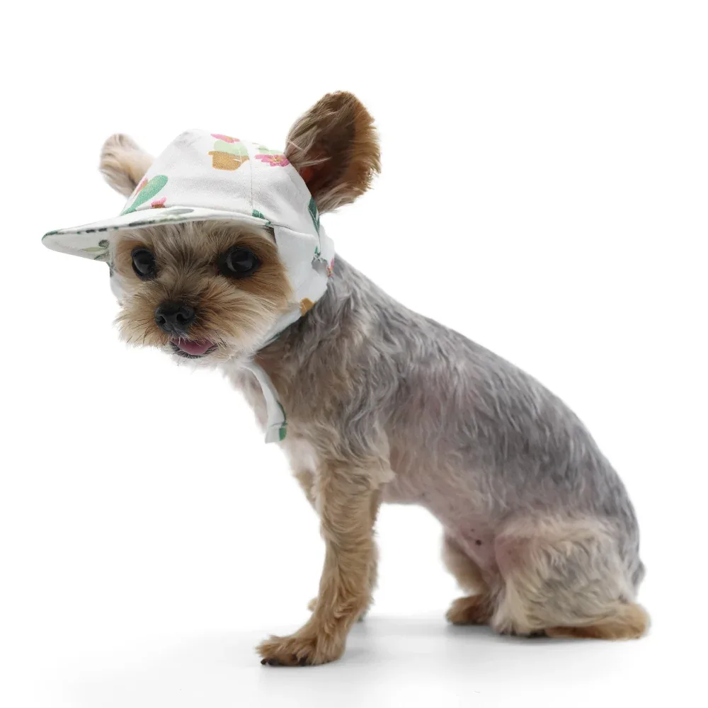 Cactus Hat - Image 2