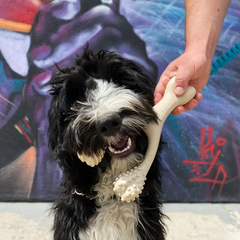 BETTERBONE DOG CHEW TOY - Image 2