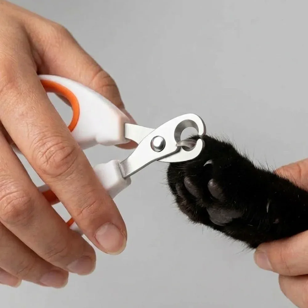 Skatrs Nail Clipper for Cats and Small Dogs - Image 2