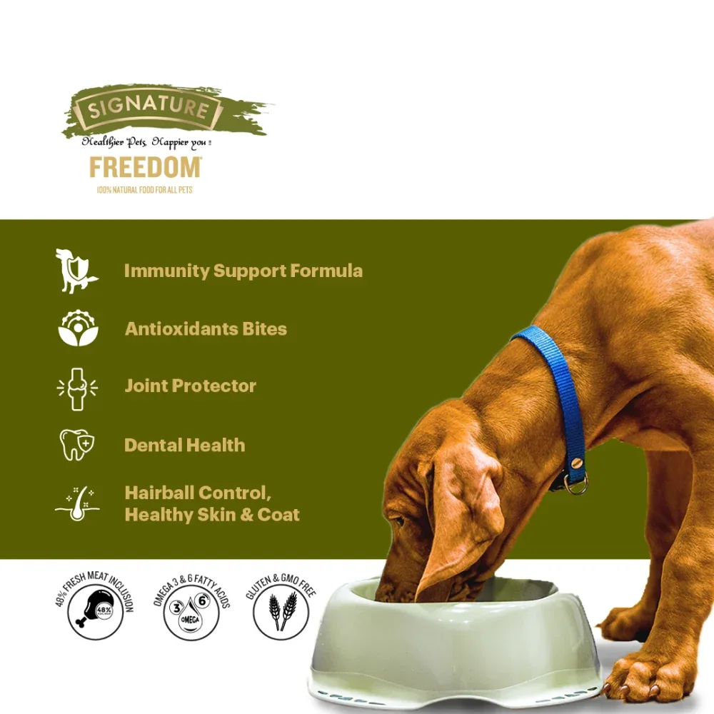 Signature Freedom Chicken and Rice Recipe Adult Dog Dry Food - Image 2