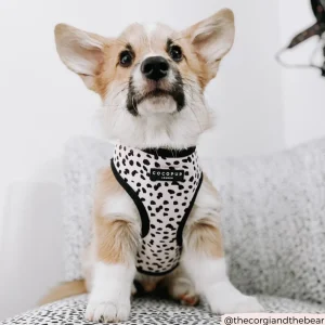 Cocopup London Monochrome Spots Adjustable Neck Harness