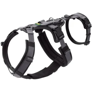 Hunter Maldon Safety Harness for Dogs (Black)