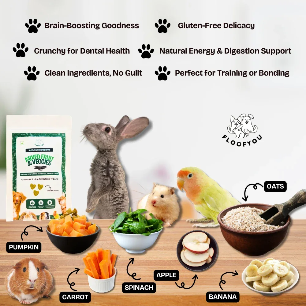 FloofYou Oven Baked Mixed Fruit & Veggies Small Animal Treats - Image 2