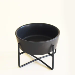 SIMPLE SOLID RAISED PET BOWL