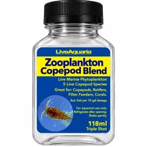 Copepod Phytoplankton - Live