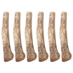 6-PACK Spizzles Elk Antler Dog Chew - Split (Jumbo) 9"