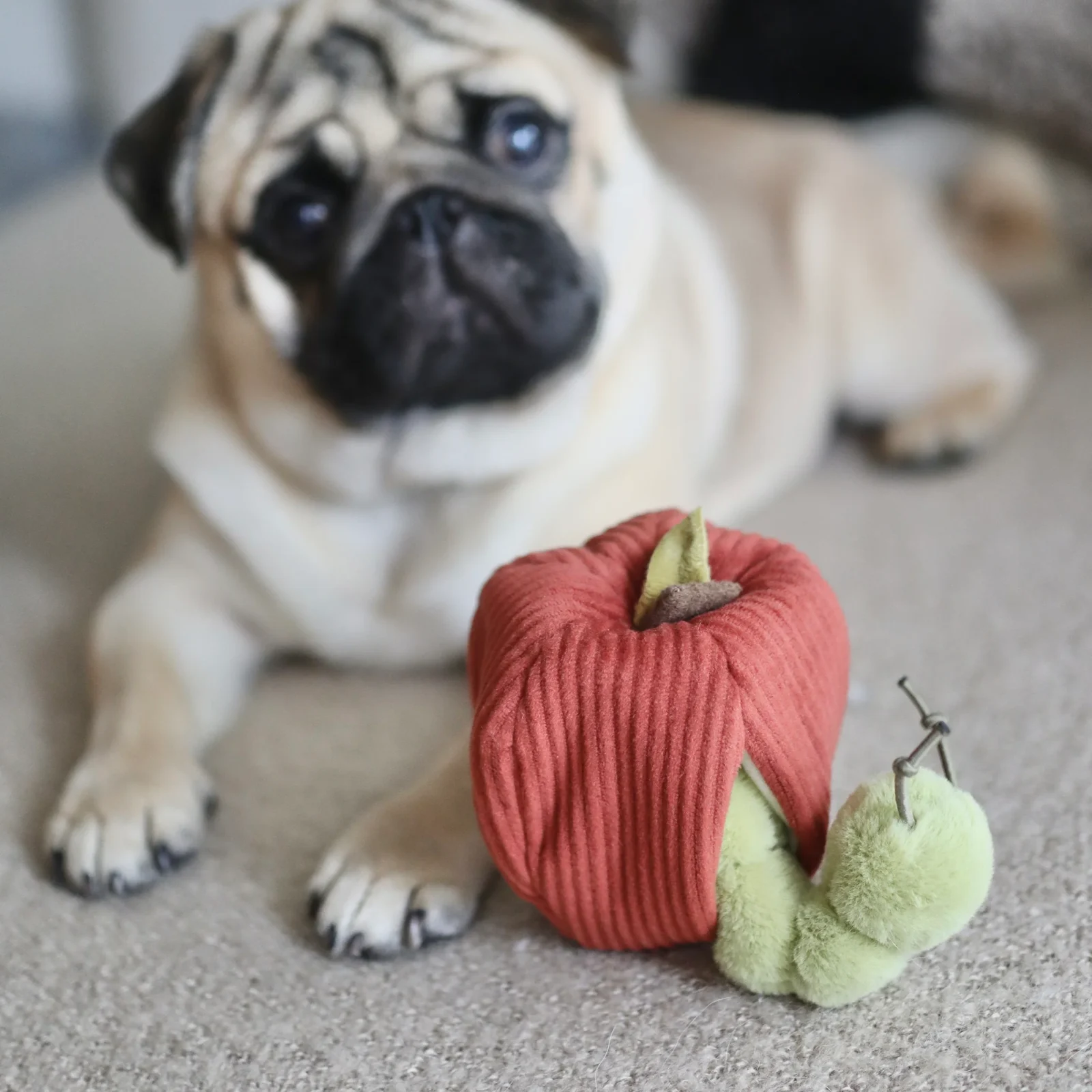 APPLE - Image 2