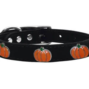 Pumpkin Widget Collar in Black