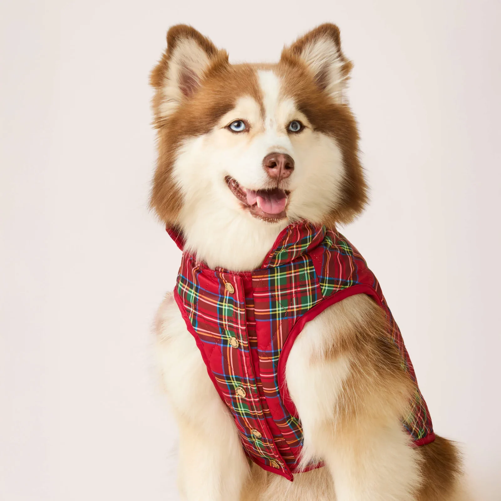 Tartan Reversible Dog Jacket - Image 2