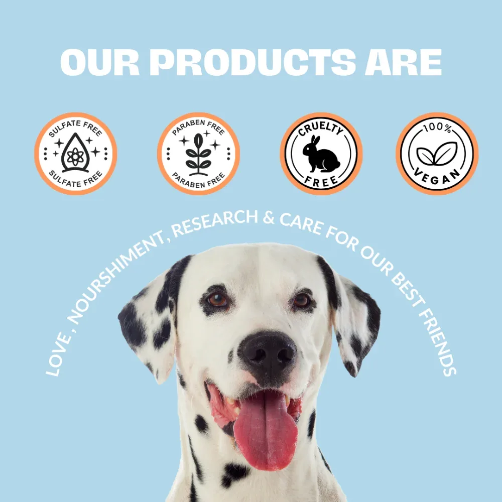 Pupr Dry Bath Lavender Flavoured Shampoo for Dogs - Image 2