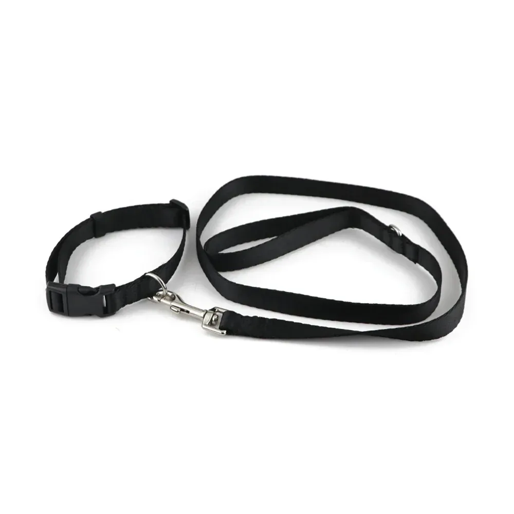 Pawpourri Nylon Webbing Leash & Collar for Cats & Dogs (Black)