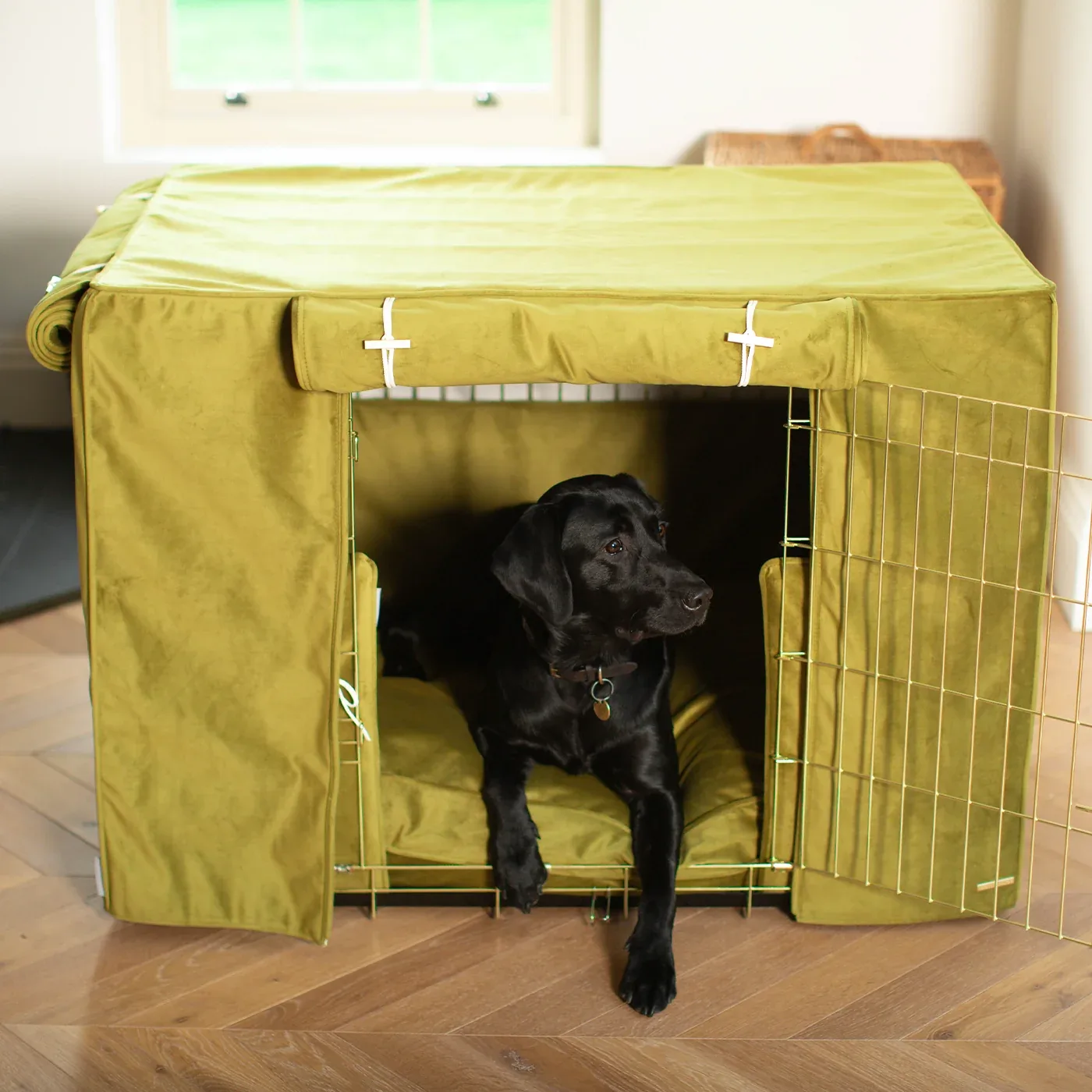 Dog Crate Set In Olive Velvet by Lords & Labradors - Image 2