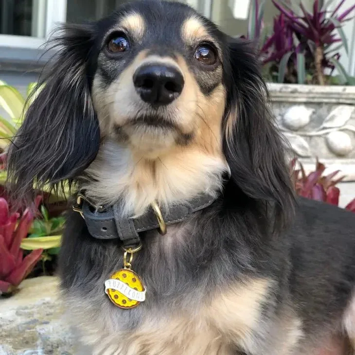 Pupperoni Pet ID Tag - Image 2
