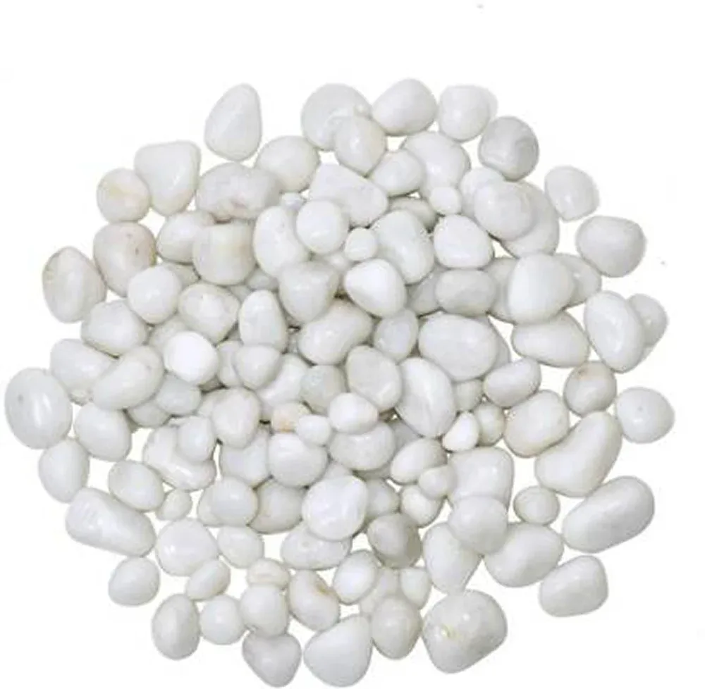 Splashy Fin Polished White Pebbles for Aquarium