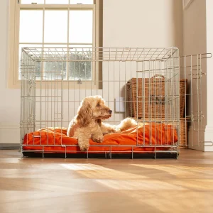 Dog Cushion in Pumpkin Velvet by Lords & Labradors
