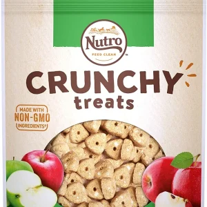 Nutro Apple Crunchy Biscuit Dog Treats - 10 oz - Case of 6