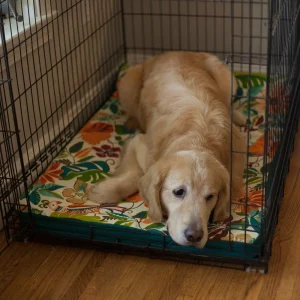 Replacement Cover – Forgiveness Dog Crate Pad – Wag Collection