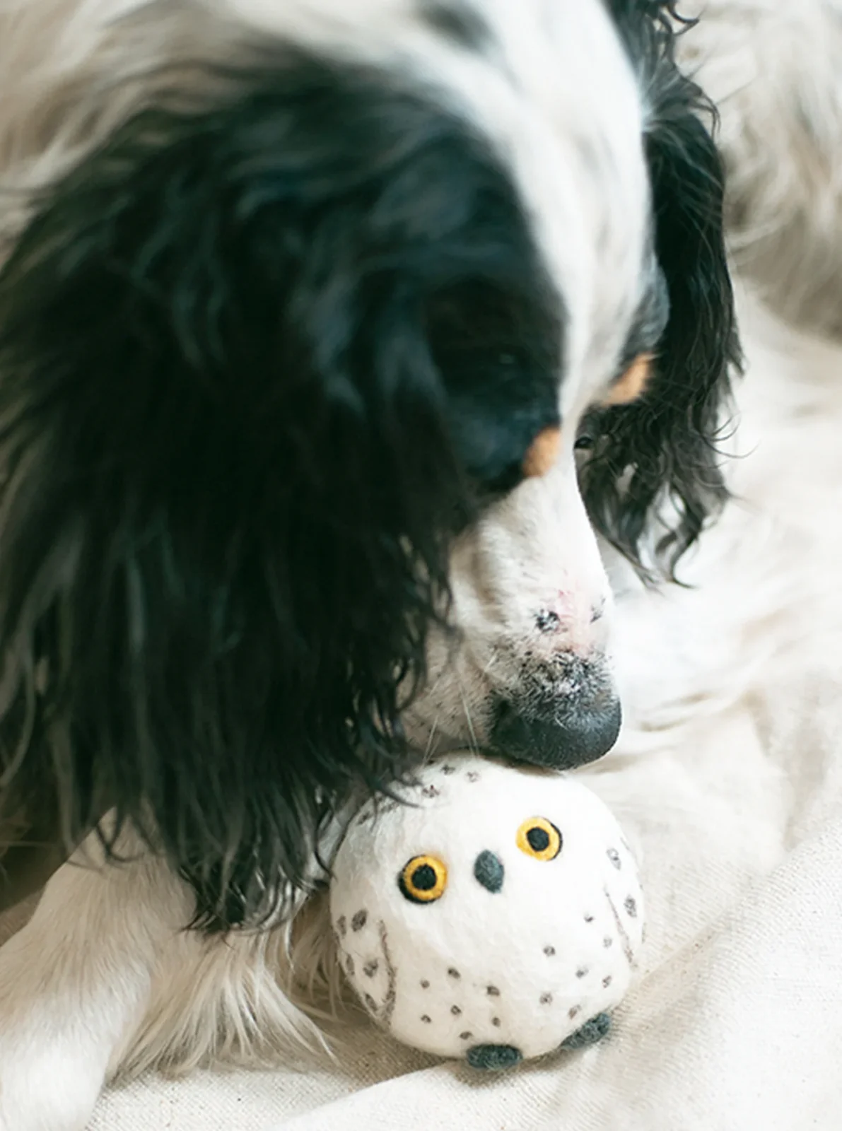 SNOW OWL BEASTBALL WOOL DOG TOY - Image 2