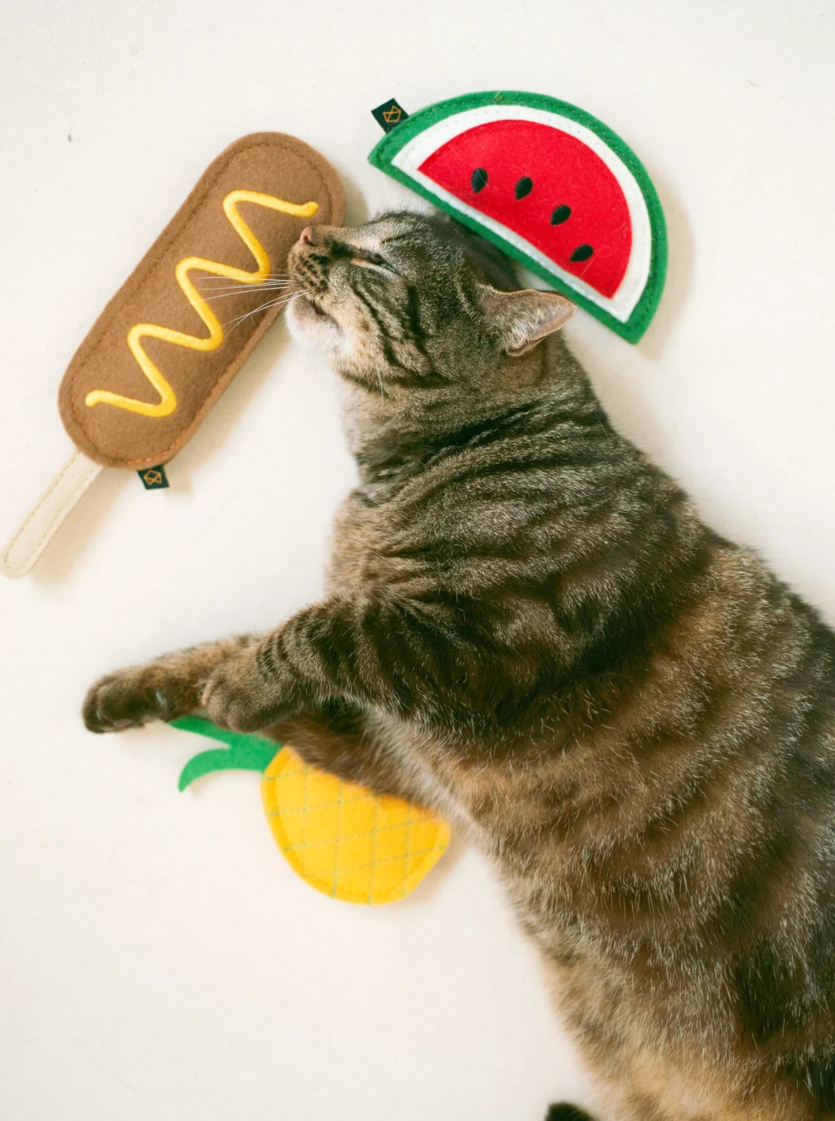 CAT DAYS OF SUMMER BUNDLE - Image 2