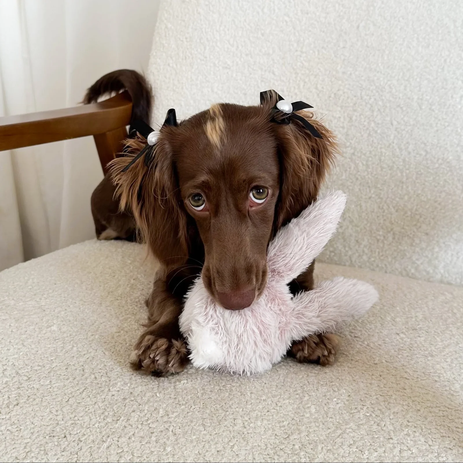 Bunny POP - Image 2
