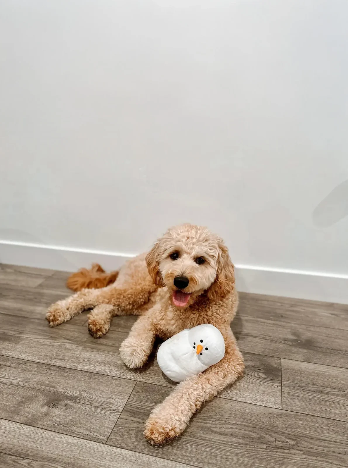 MARSHMALLOW SNOWMAN DOG TOY - Image 2