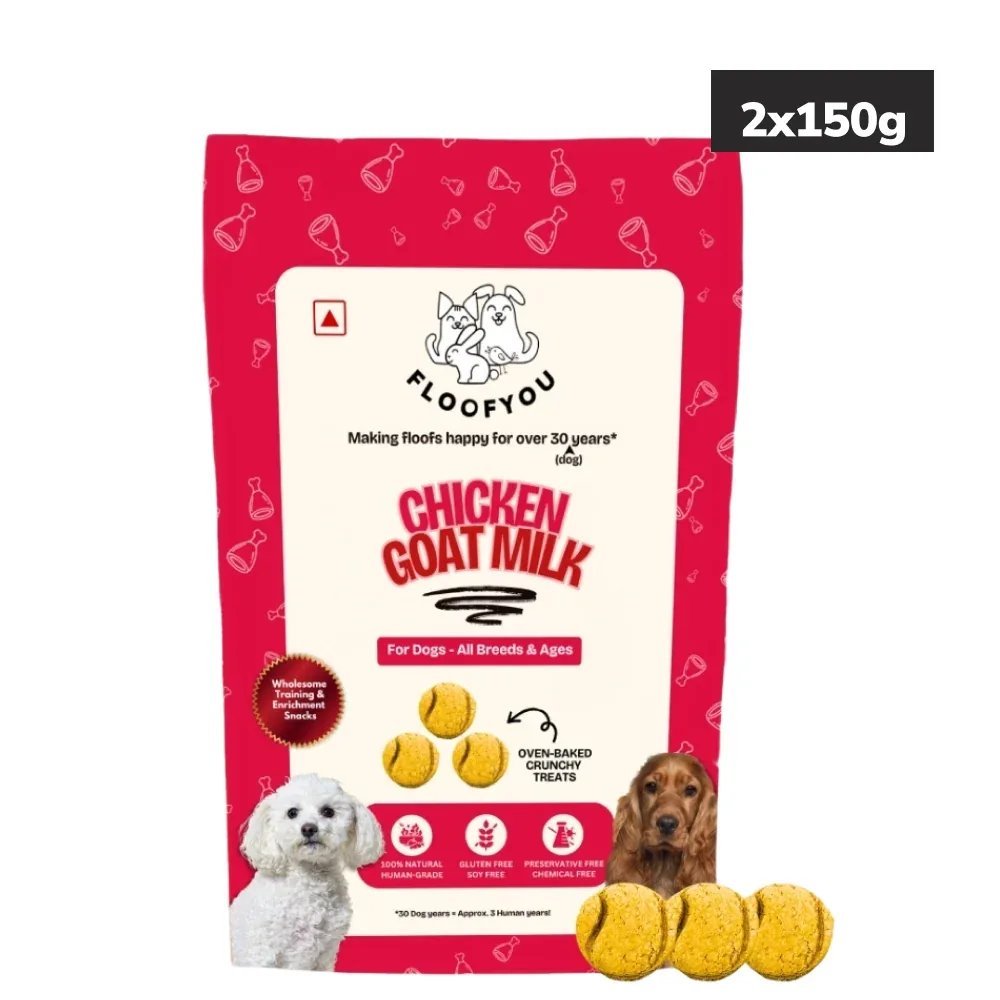 Floofyou Chicken Goat Milk Oven Baked Cookie Dog Treats - Image 2