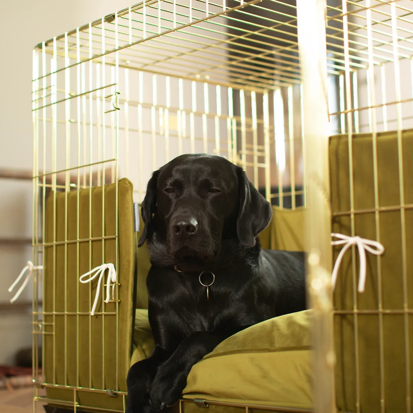 Dog Crate Bumper in Olive Velvet by Lords & Labradors - Image 2