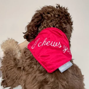 'I Chews You' Bandana in Cranberry Velvet by Lords & Labradors