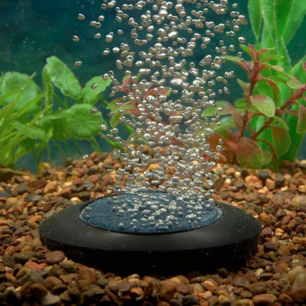 Marina Deluxe Bubble Disk - Image 2