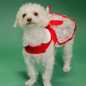 Holiday Dog Harness Dress - Candy Canes