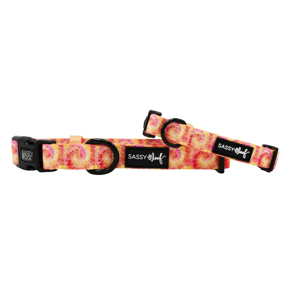 Groovy Summer Sorbet Collar - Image 2