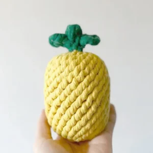 PINEAPPLE DOG ROPE TOY