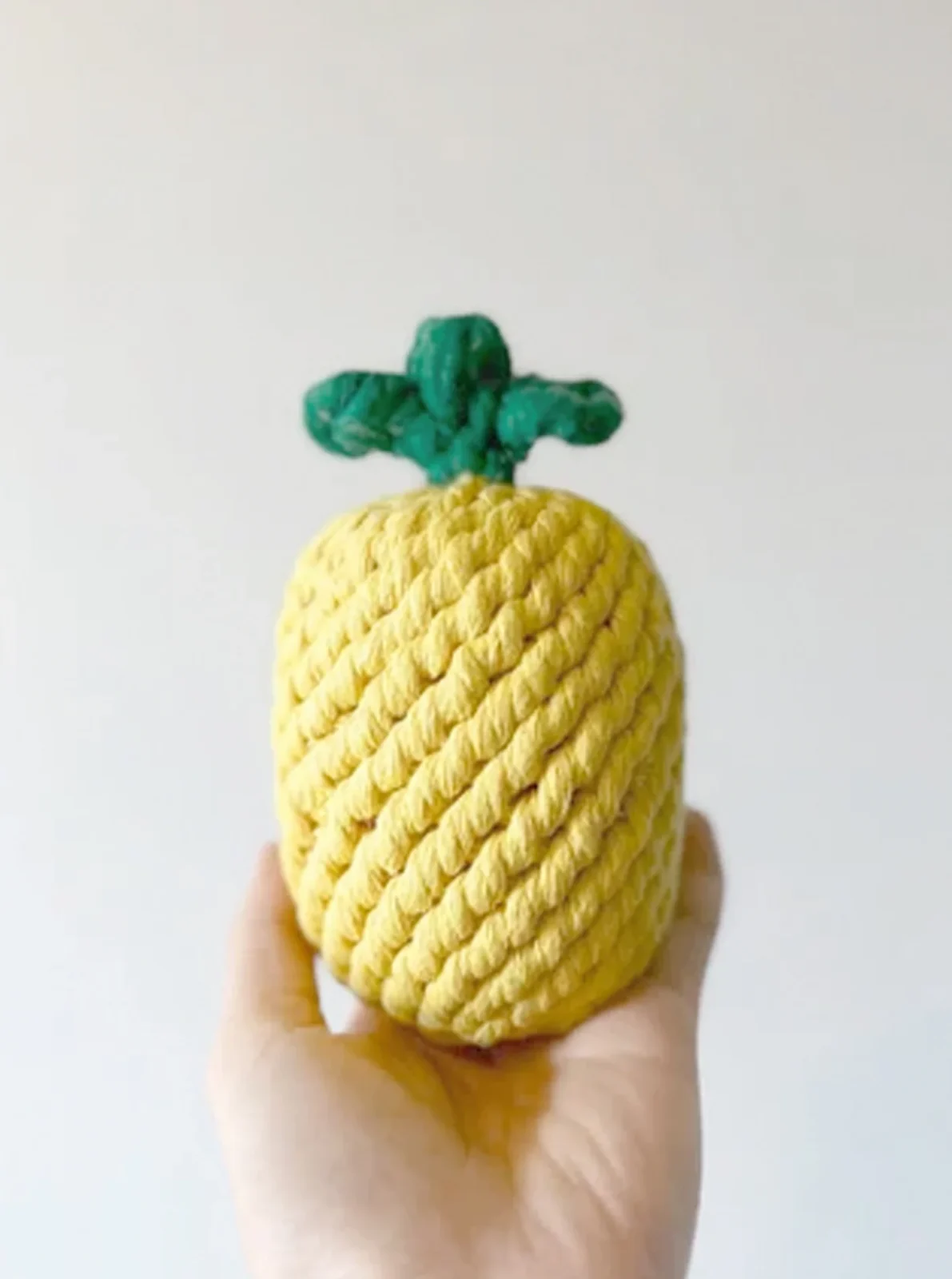 PINEAPPLE DOG ROPE TOY