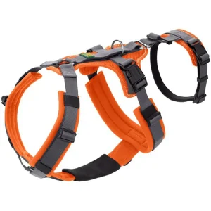 Hunter Maldon Safety Harness for Dogs (Orange)