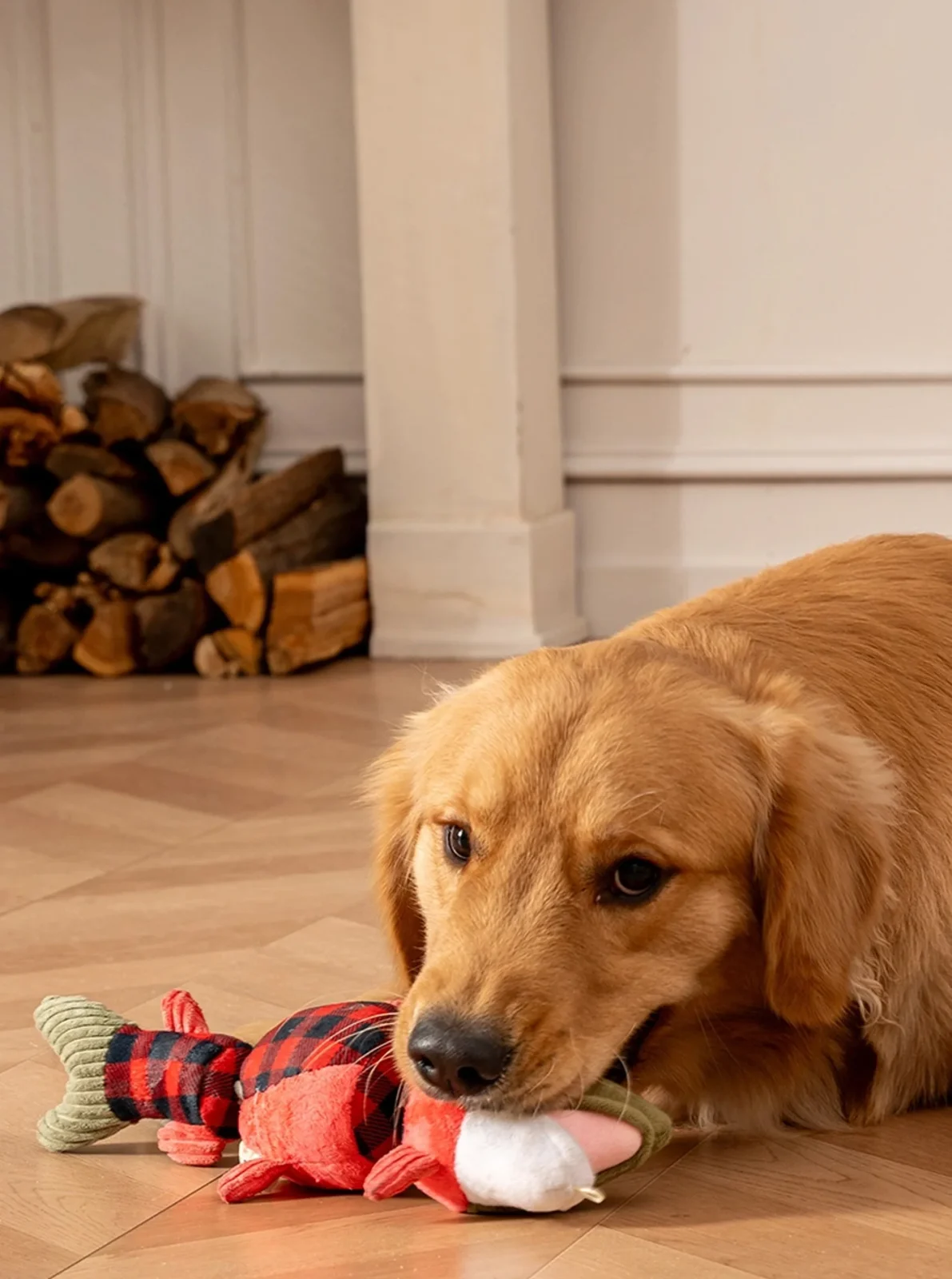 SALMON JOINTED SHAKE DOG TOY - Image 2
