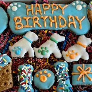 Happy Birthday Dog Treat Gift Box in Blue