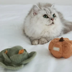 KITTY VEGGIE CATNIP SET