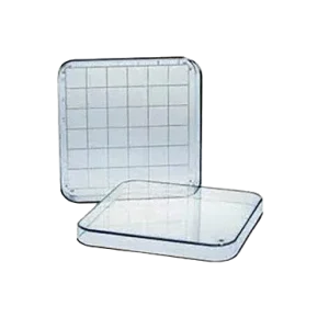 Gridded Search Dish with Lid