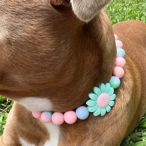 Miss Marguerite Beaded Pet Collar