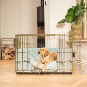 Dog Crate with Cushion & Bumper in Duck Egg Spot by Lords & Labradors