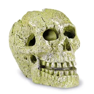 Tetra GloFish® Skull Ornament