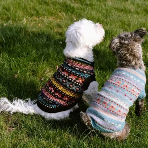 Parker Dog Sweater