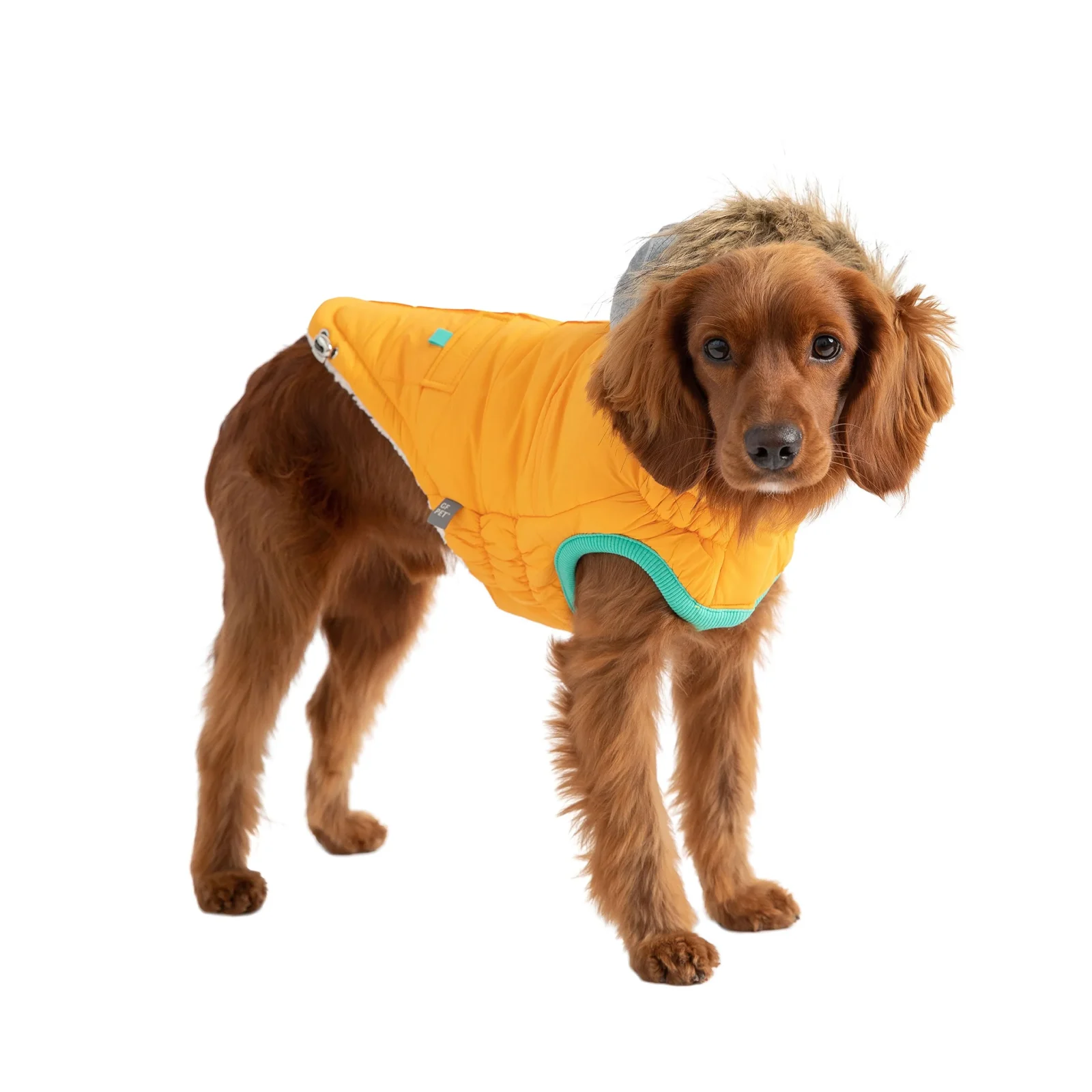 Winter Sailor Parka - Yellow - Image 2