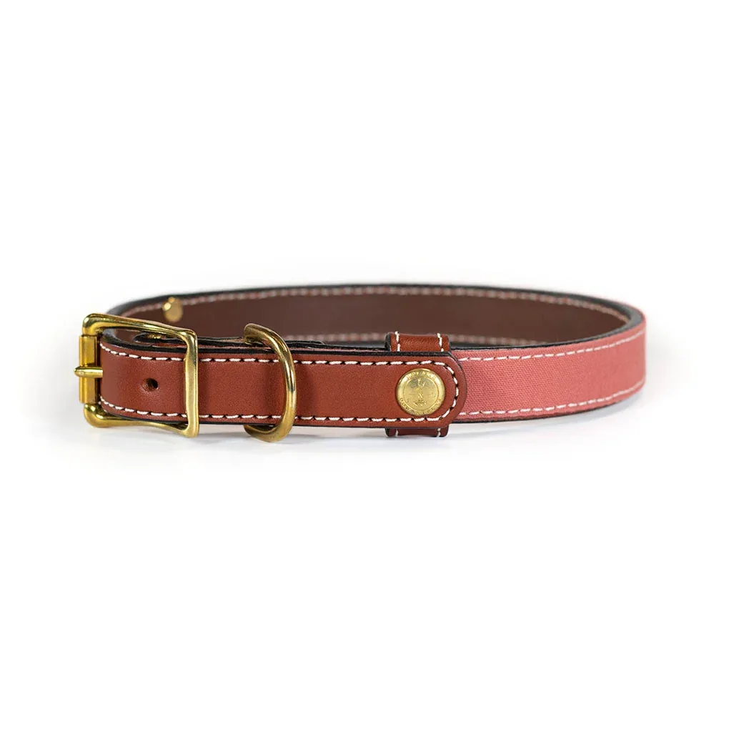 Upland & Downstream Countryside Collar in Multiple Colors