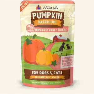 Weruva Dog and Cat Pumpkin and Ginger Wet Pet Food - 2.8 Oz Pouch - Case of 12