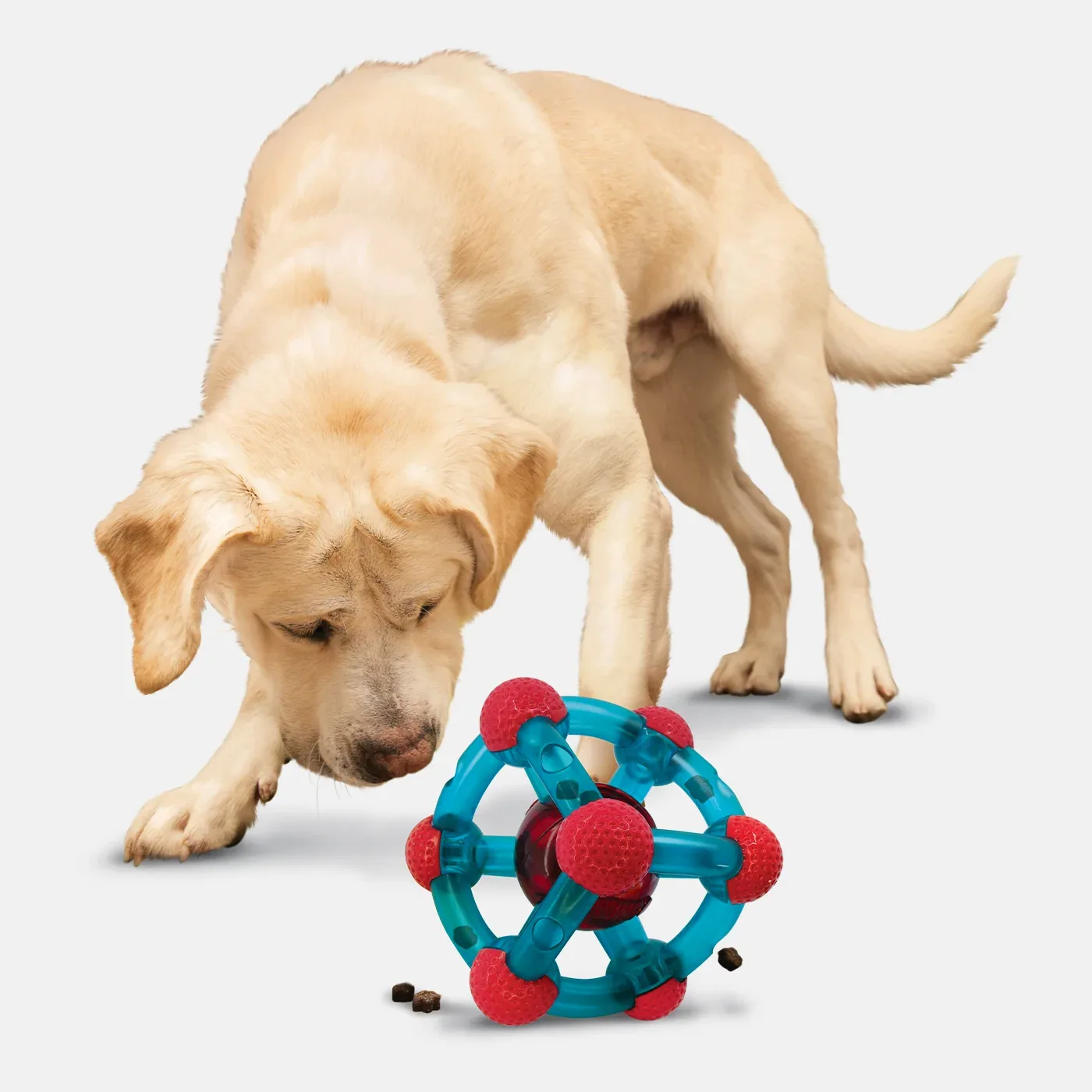 KONG Rewards Tinker - Image 2