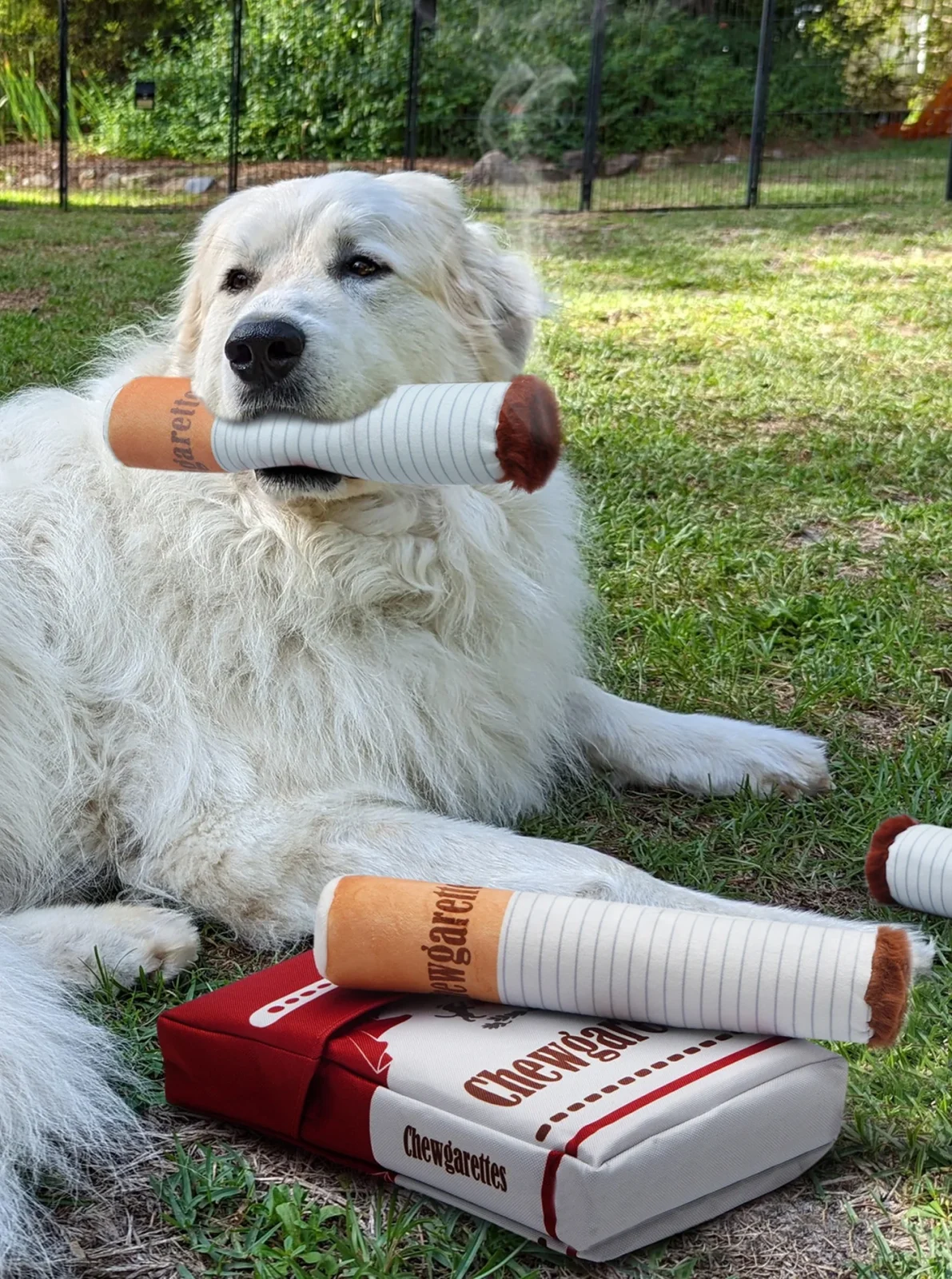 CHEWGARETTES ENRICHMENT DOG TOY - Image 2