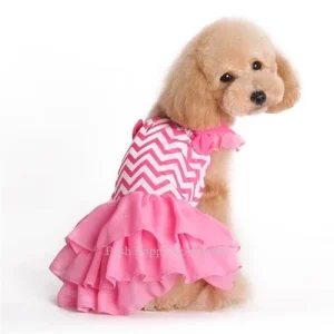 Chevron Dress