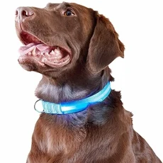 Furhaven LED Safety Pet Collar - Blue (Extra Large) - Image 2